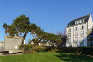 Concarneau, Brittany, France