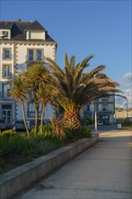 Concarneau, Brittany, France