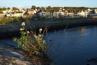 Concarneau, Brittany, France