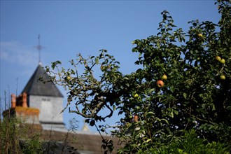 Touques, Calvados