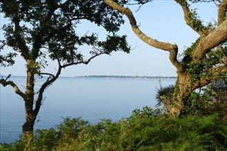 Concarneau, Finistère