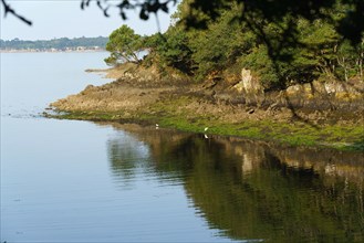 Concarneau, Finistère