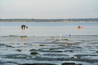 Concarneau, Finistère