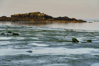 Concarneau, Finistère