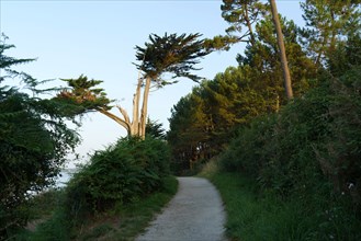 Concarneau, Finistère