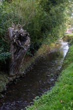 Touques, Calvados