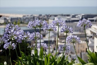 Trouville-sur-Mer, Calvados