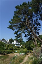 Port de Doëlan à Clohars-Carnoët, Finistère