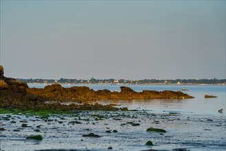 Concarneau, Finistère