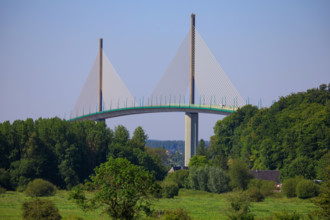 Rives-en-Seine, Seine-Maritime