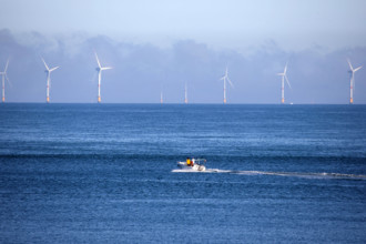 Fécamp, Seine-Maritime