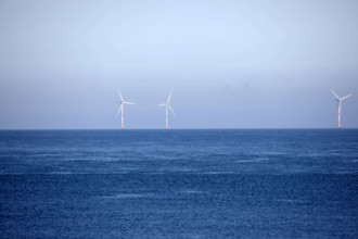 Fécamp, Seine-Maritime