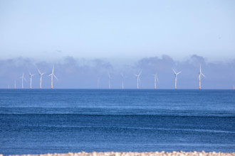 Fécamp, Seine-Maritime