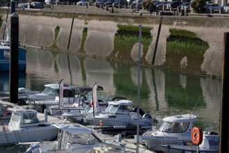 Fécamp, Seine-Maritime