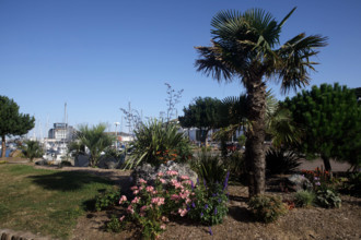 Fécamp, Seine-Maritime
