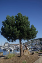 Fécamp, Seine-Maritime