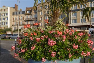 Dieppe, Seine-Maritime