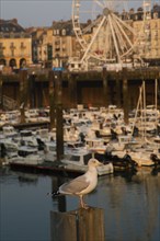 Dieppe, Seine-Maritime