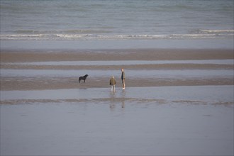 Dieppe, Seine-Maritime