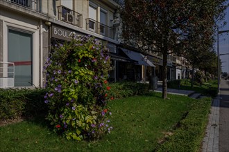 Yvetot, Seine-Maritime