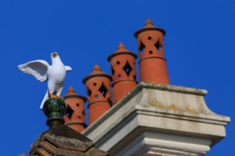 Langrune-sur-Mer, Calvados