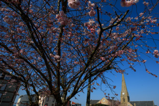 Saint-Pair-sur-Mer, Manche