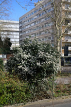 Paris, avenue René Coty
