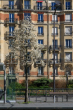 Paris, boulevard Victor
