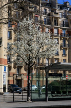 Paris, boulevard Victor