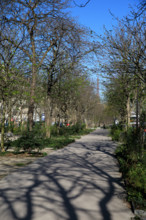 Paris, boulevard Pasteur