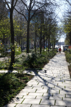 Paris, boulevard Pasteur