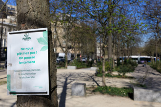 Paris, boulevard Pasteur