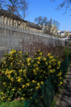 Paris, boulevard Pasteur