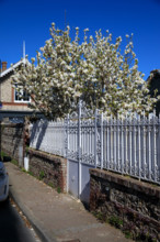 Yport, Seine-Maritime