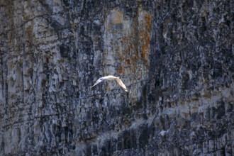 Yport, Seine-Maritime