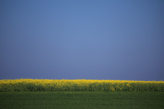 La Poterie-Cap d'Antifer, Seine-Maritime