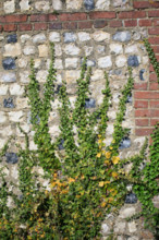 La Poterie-Cap d'Antifer, Seine-Maritime