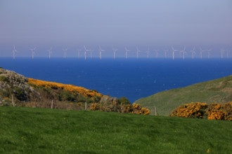 La Poterie-Cap d'Antifer, Seine-Maritime
