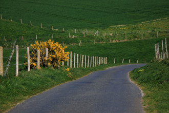 La Poterie-Cap d'Antifer, Seine-Maritime