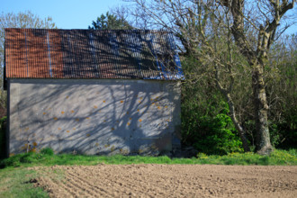 La Poterie-Cap d'Antifer, Seine-Maritime