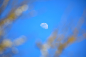 La Poterie-Cap d'Antifer, Seine-Maritime