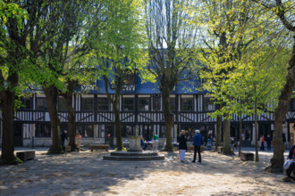 Rouen, Seine-Maritime