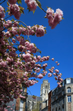 Rouen, Seine-Maritime