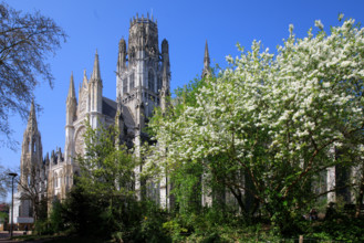 Rouen, Seine-Maritime