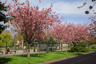 Le Havre, Seine-Maritime