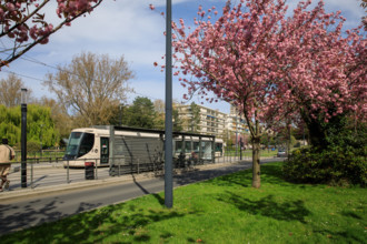 Le Havre, Seine-Maritime