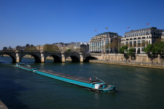 Paris, Pont Neuf