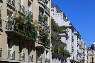 Paris, rue Vavin