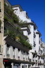 Paris, 26 rue Vavin