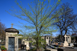 Paris, cimetière du Montparnasse